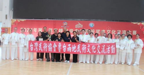 以武會友促交流 第九屆海峽兩岸中華傳統(tǒng)武術文化交流大賽圓滿收官